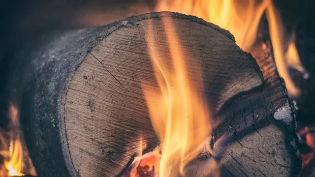 The Complete History of The Yule Log (A Christmas Tradition)